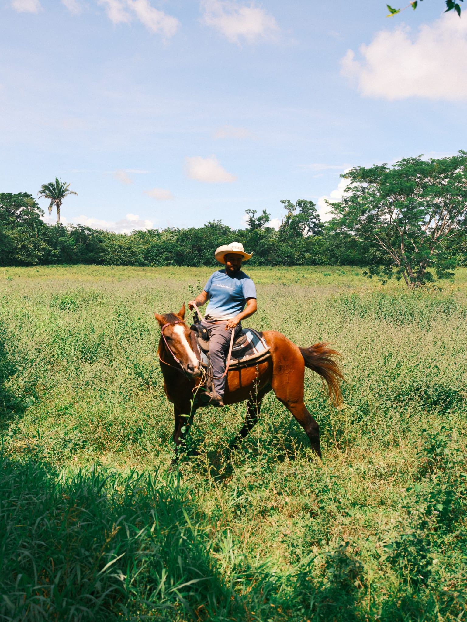 Horseback excursion through the Belize landscape