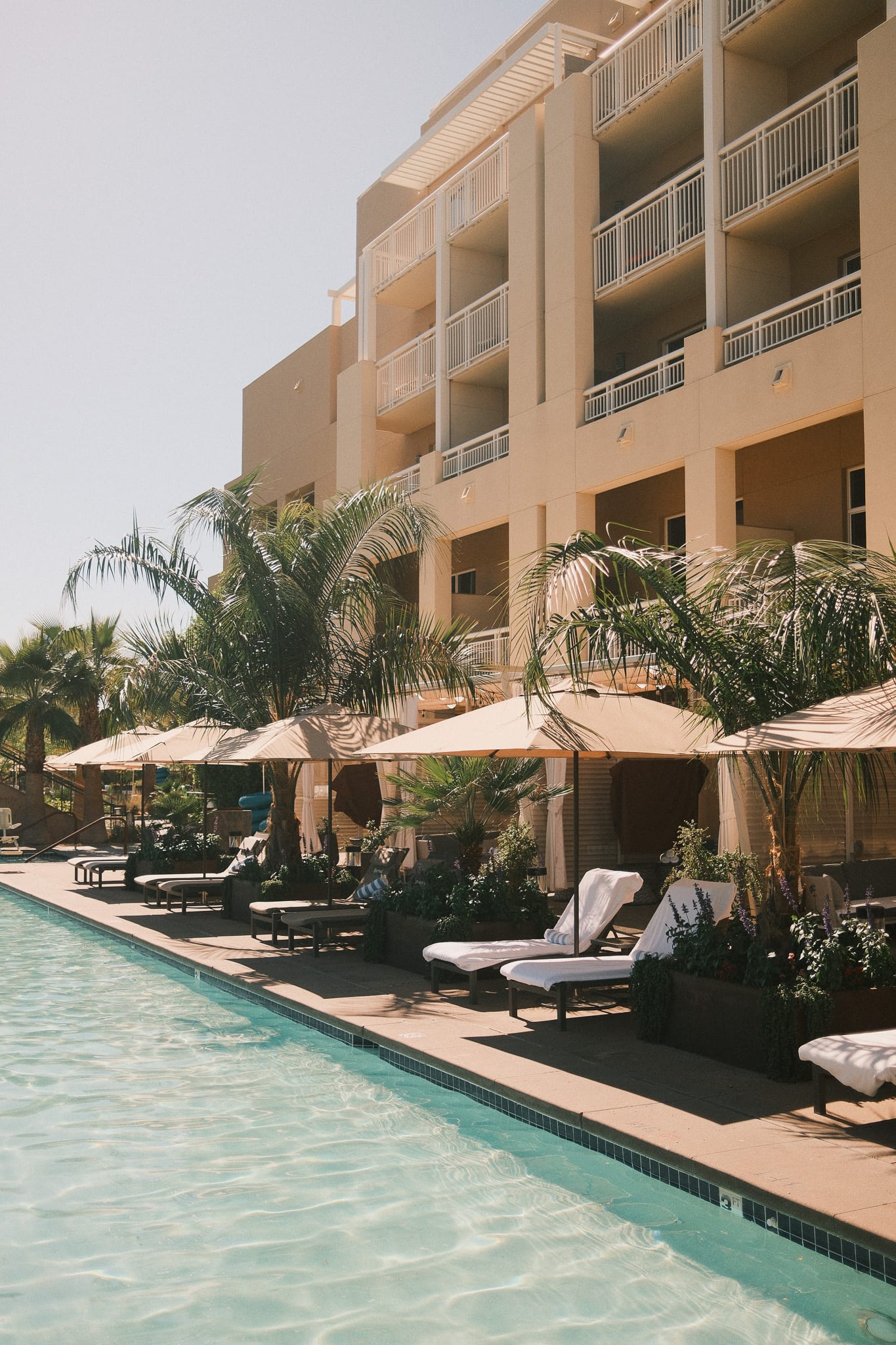 Palm-lined resort pool and guest-room balconies at Desert Ridge