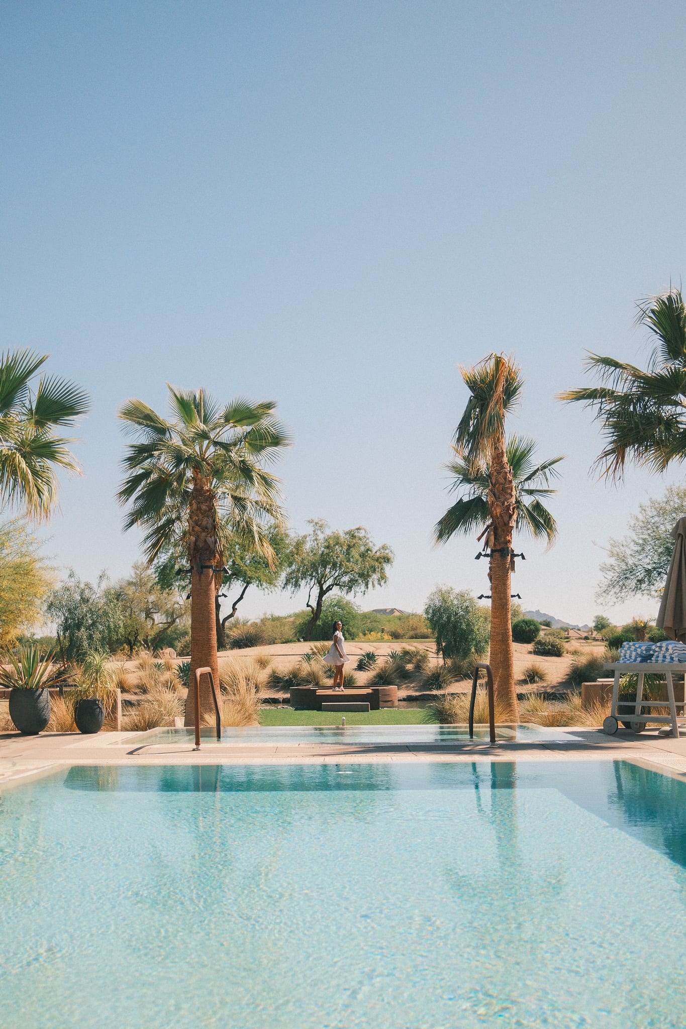 Quiet palm-lined pool and skyline view at Desert Ridge