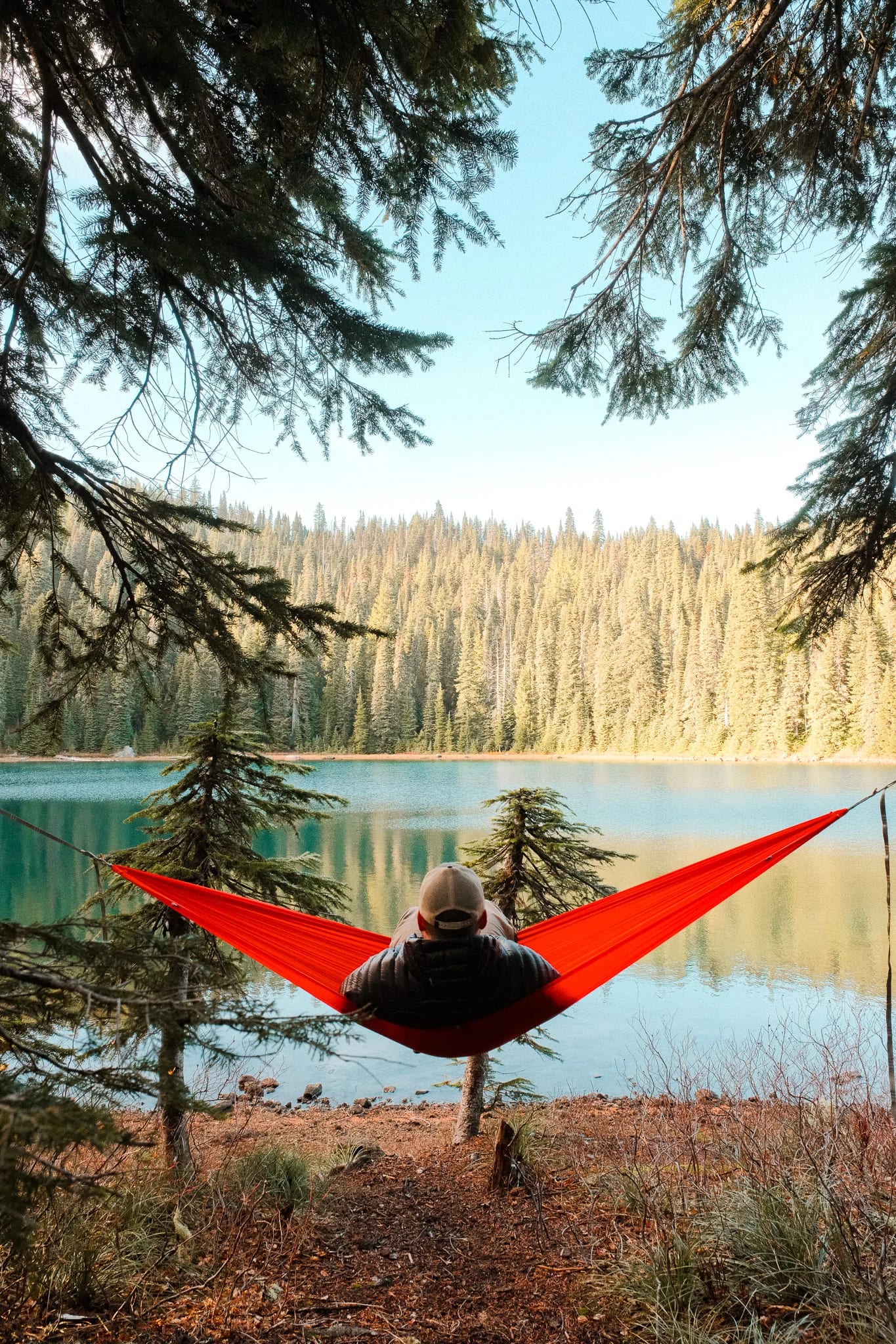 Red Kammok hammock suspended between trees above the lakeshore