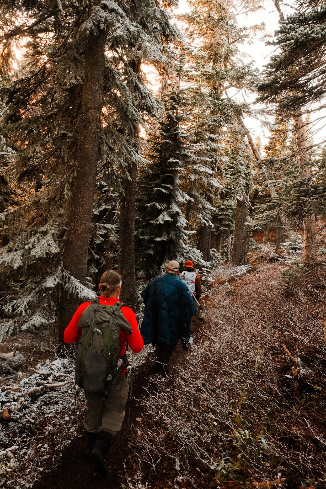 Hikers following a rocky trail through the mountain landscape