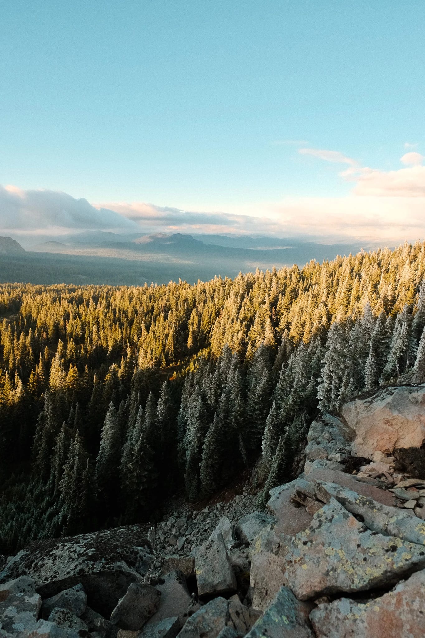 Golden light over a forested mountain valley