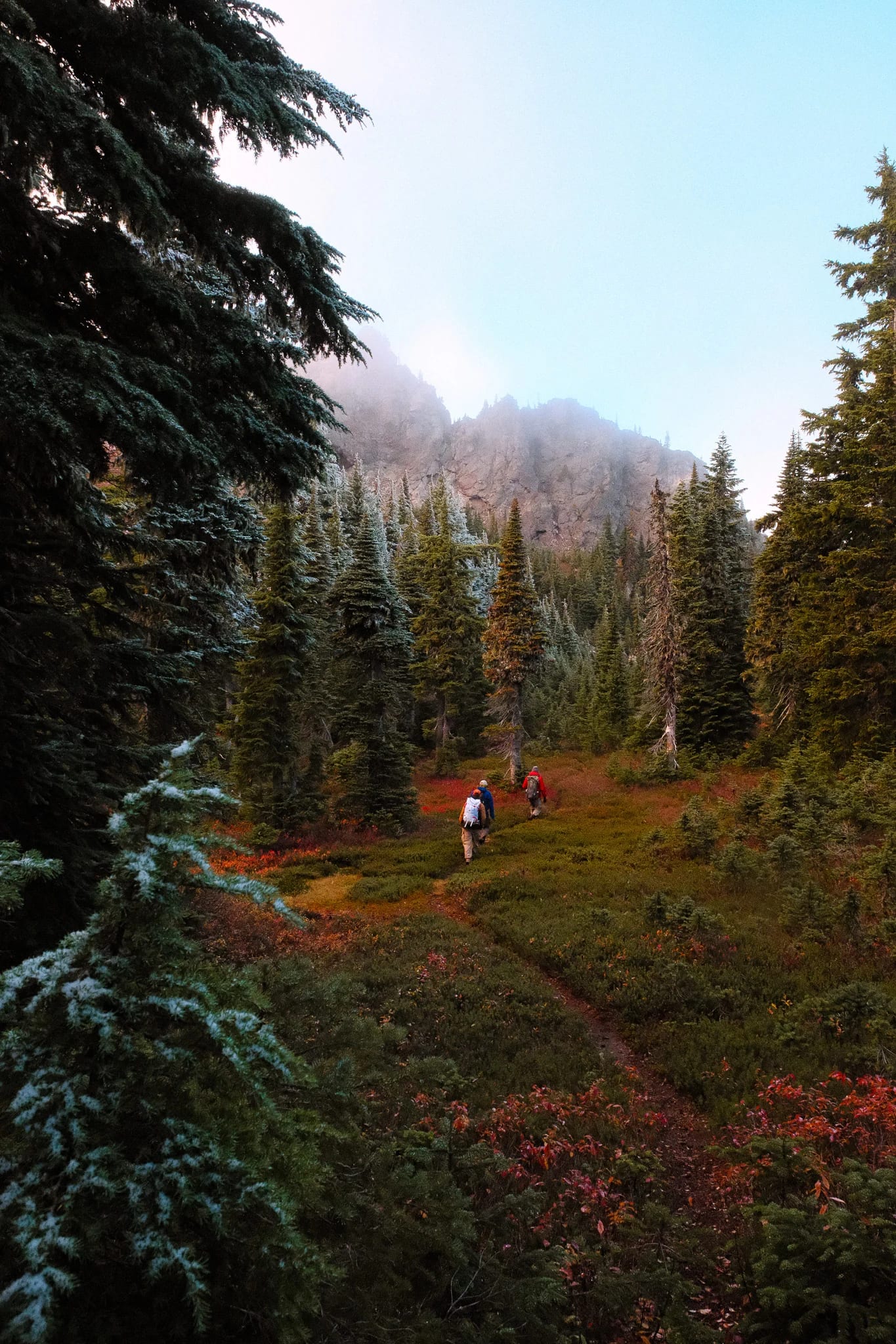 Rocky mountain peaks above an autumn meadow