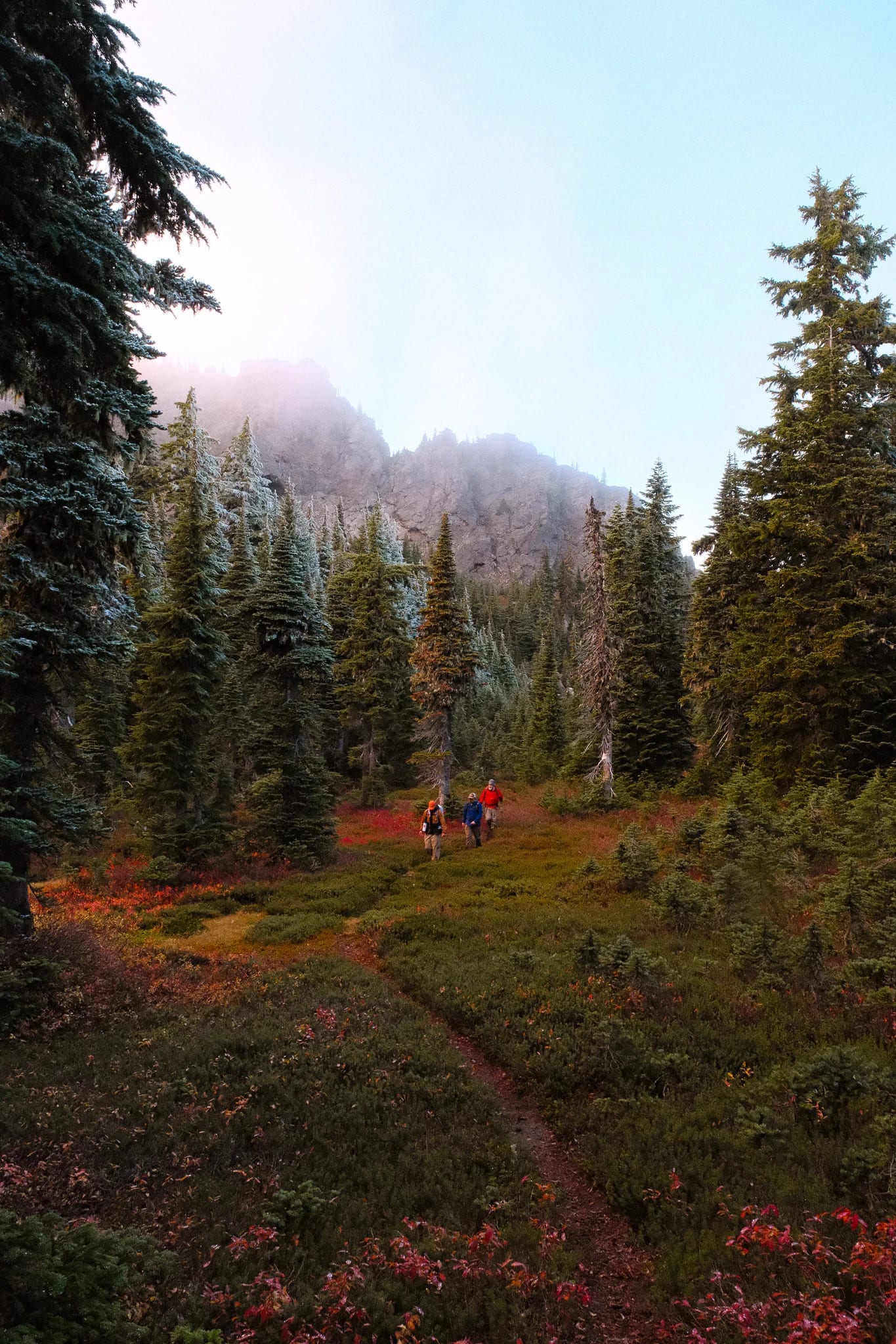 Forest and autumn meadow beneath rugged mountain peaks