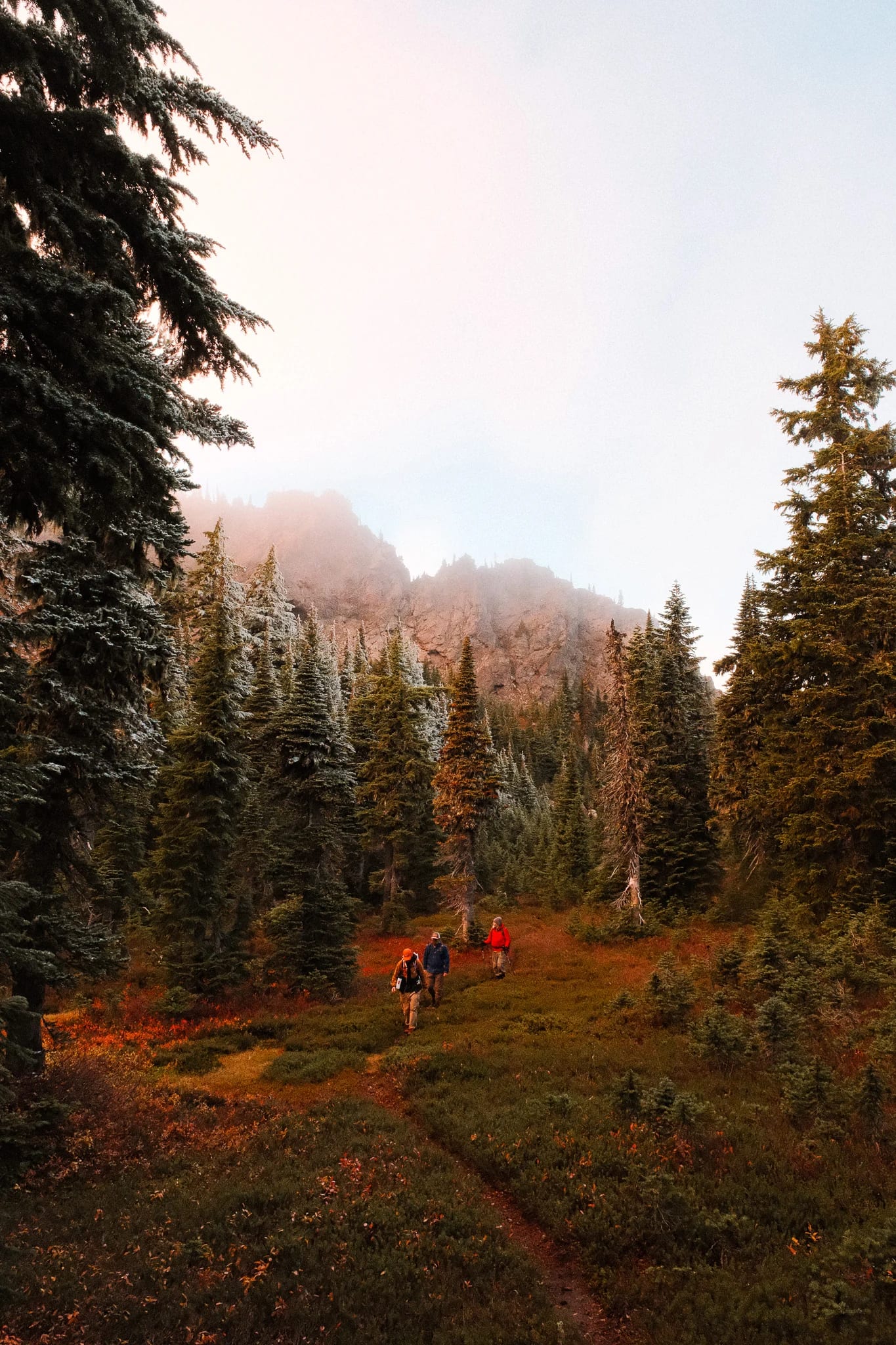 Warm sunset light across an autumn mountain meadow