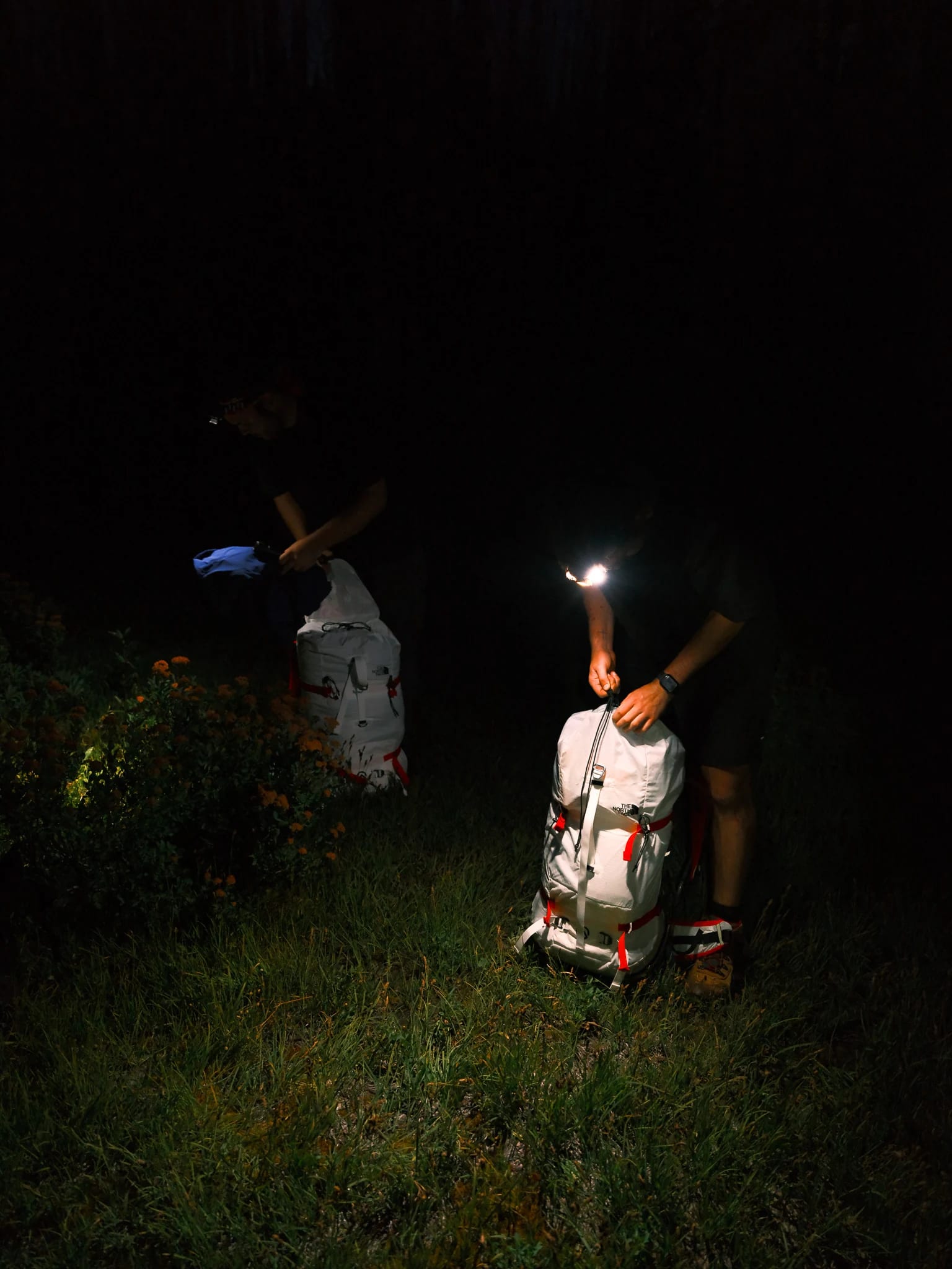A hiker pauses in the dark beside mountain vegetation.