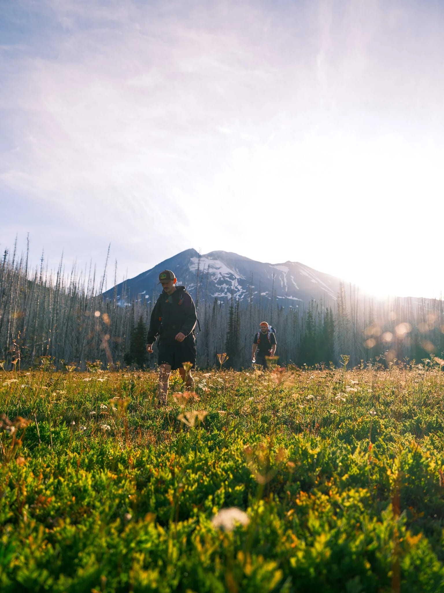 Hikers pass wildflowers with a mountain in the distance.
