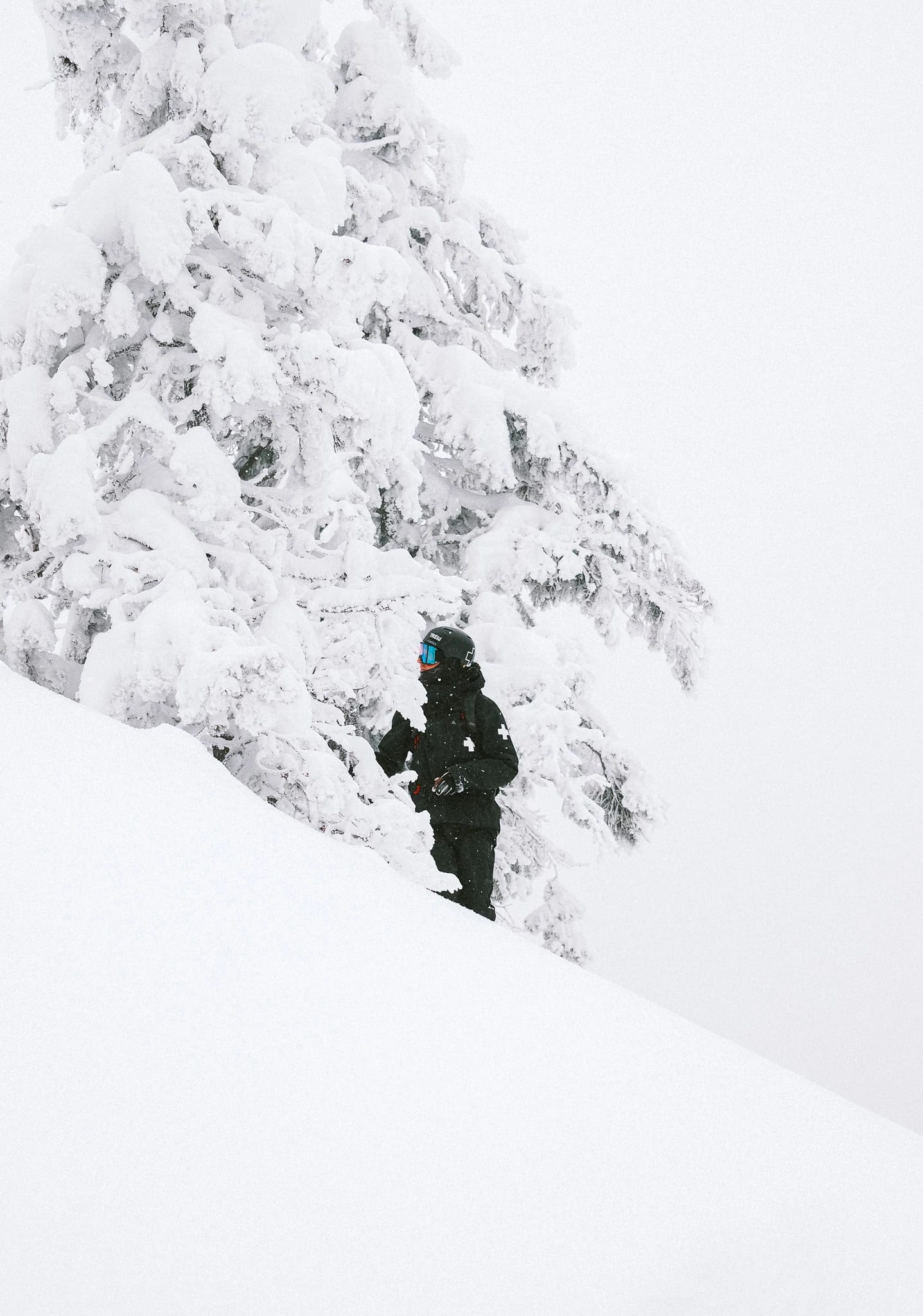 A skier pauses among heavily snow-covered trees.