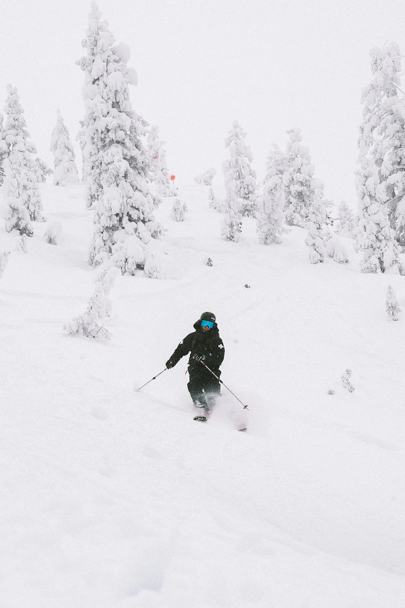 A skier descends into soft powder beneath snowy trees.
