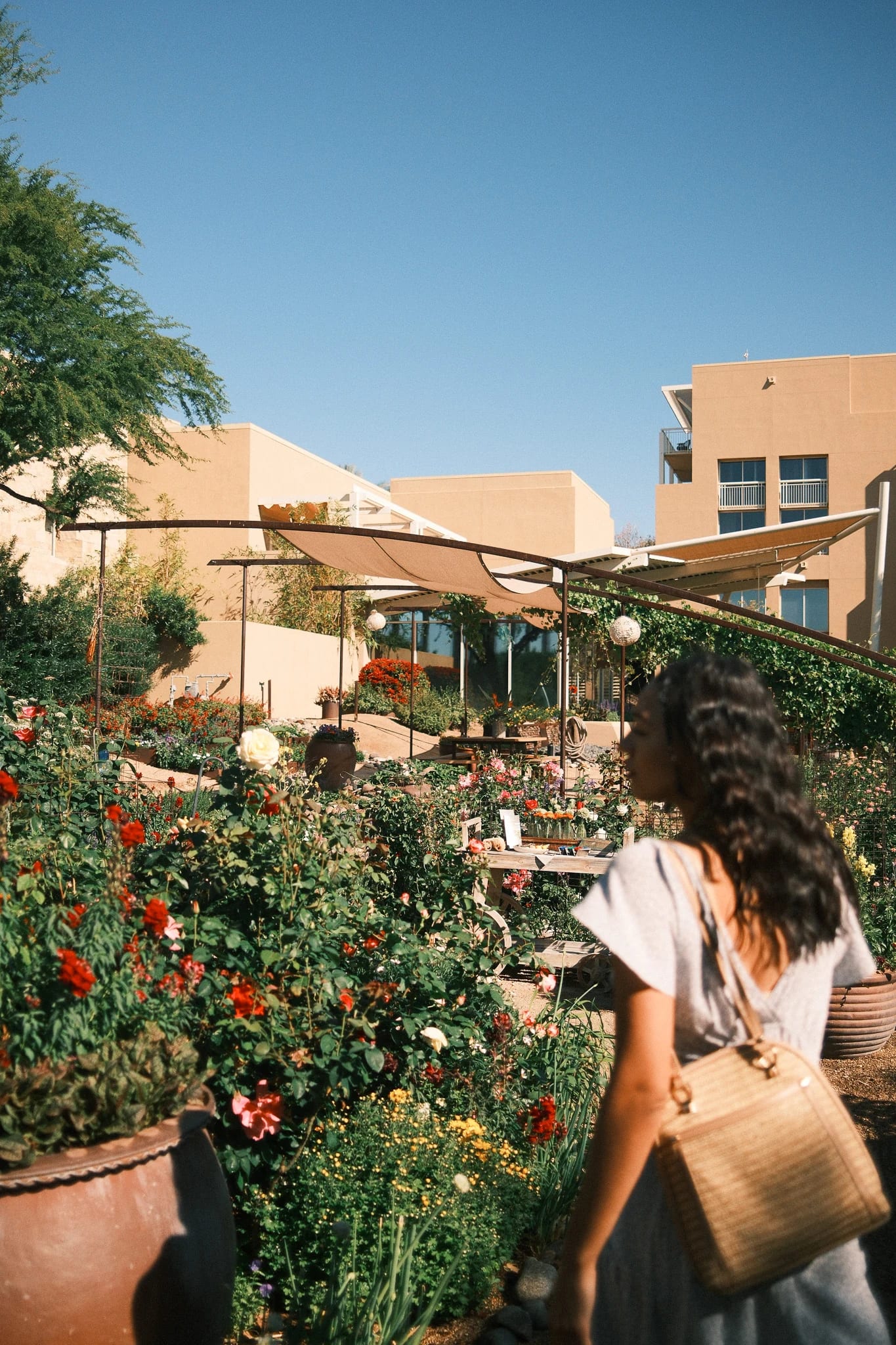 A guest walks beside flowering resort gardens.