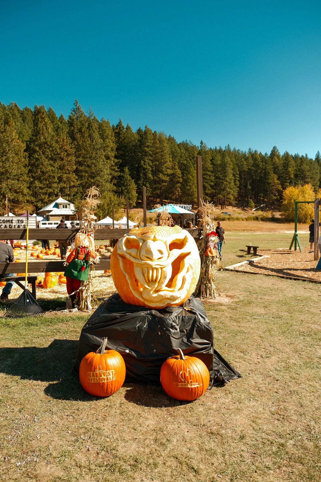 Pumpkin and harvest decorations at Suncadia