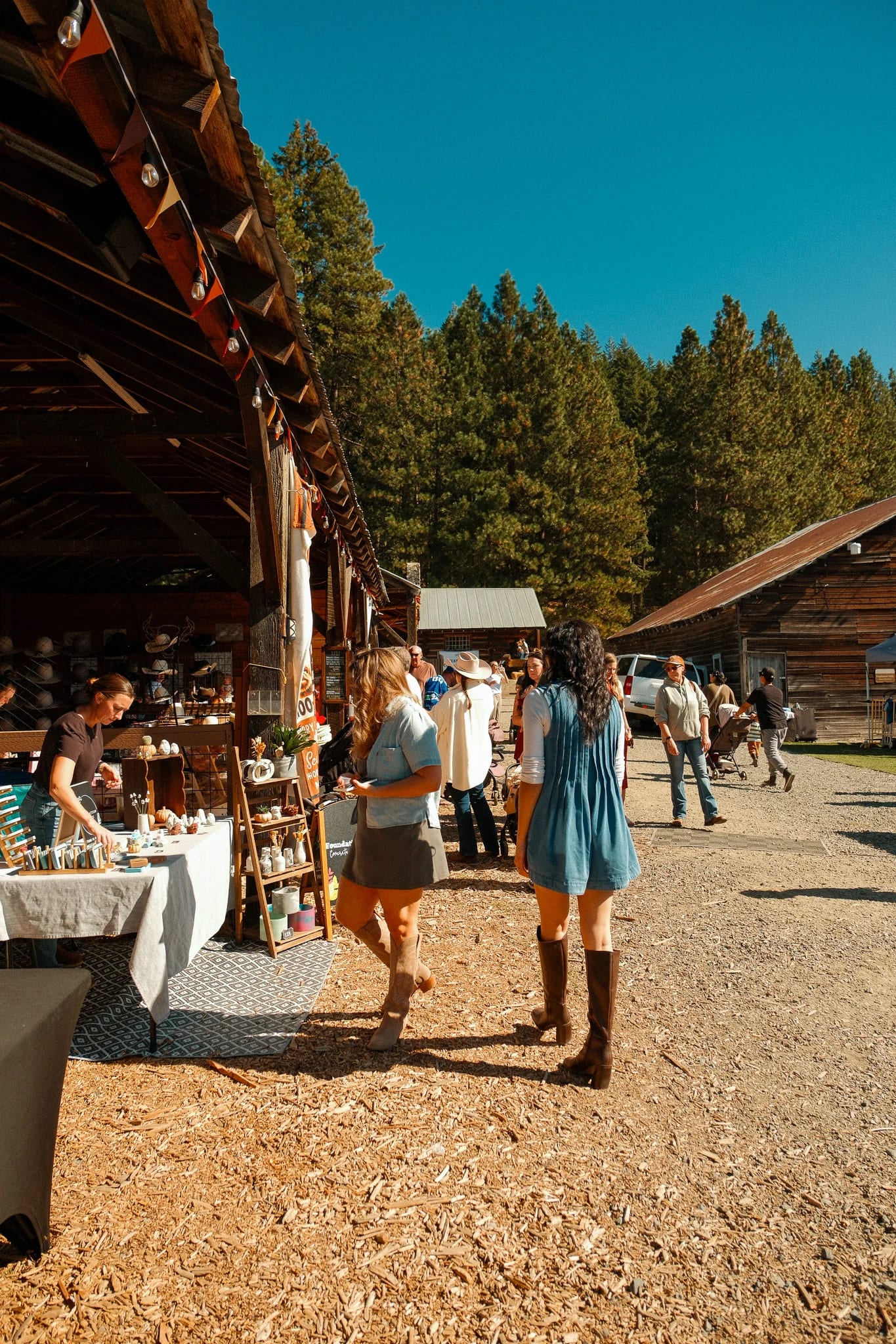 Guests browsing the harvest festival stalls