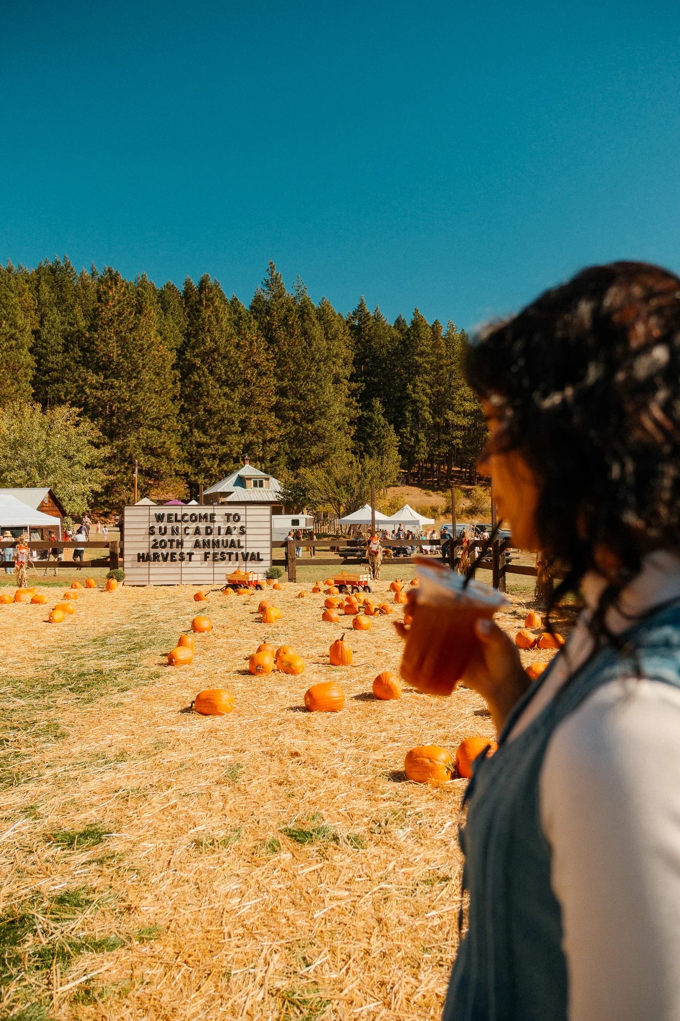 Guest beside pumpkins at the harvest festival