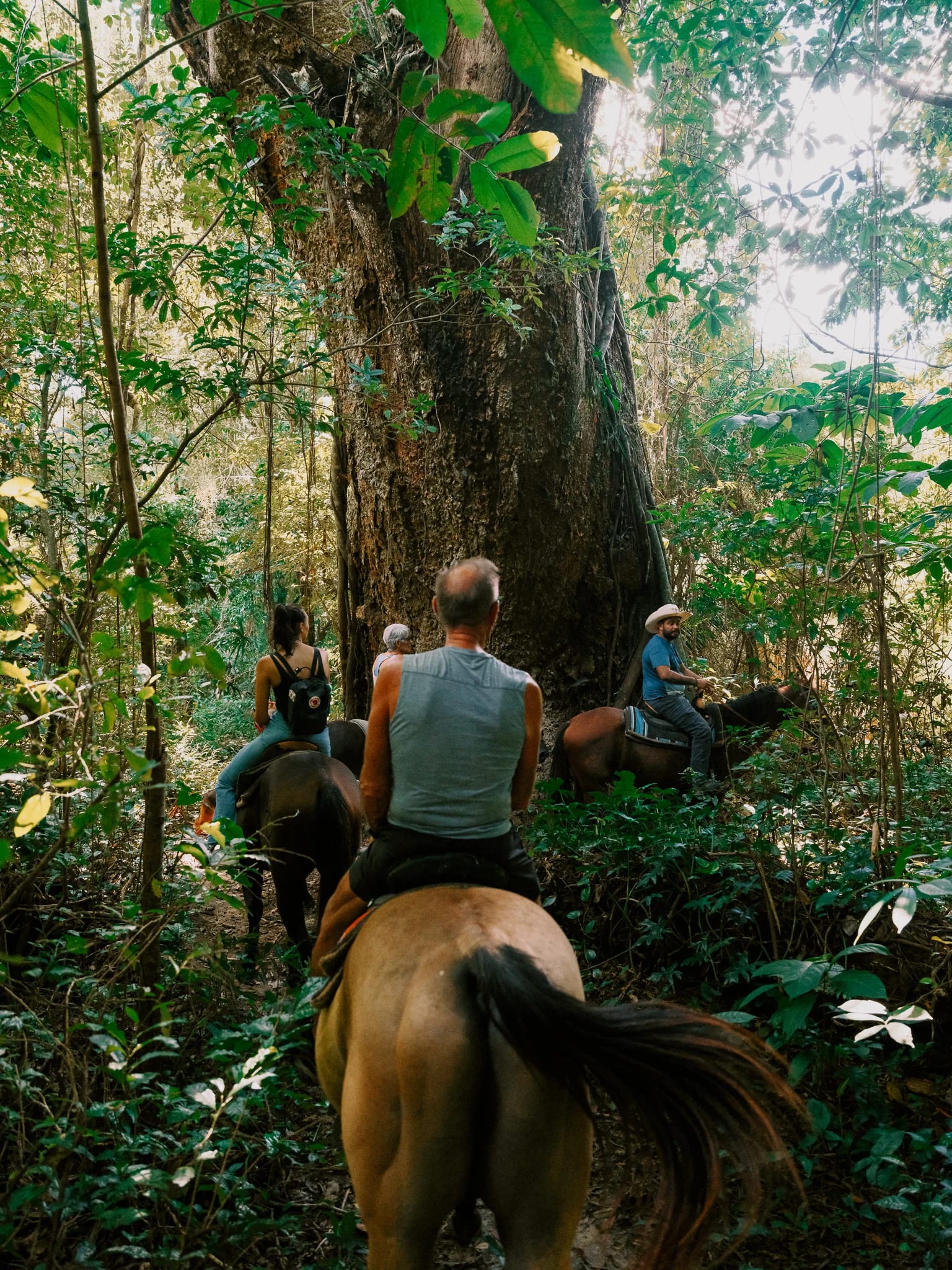 Horseback riders enter a dense green jungle.