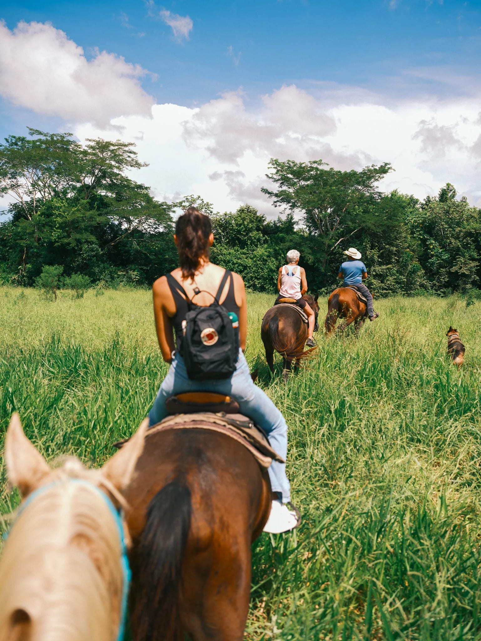 Riders cross an open field beneath bright clouds.