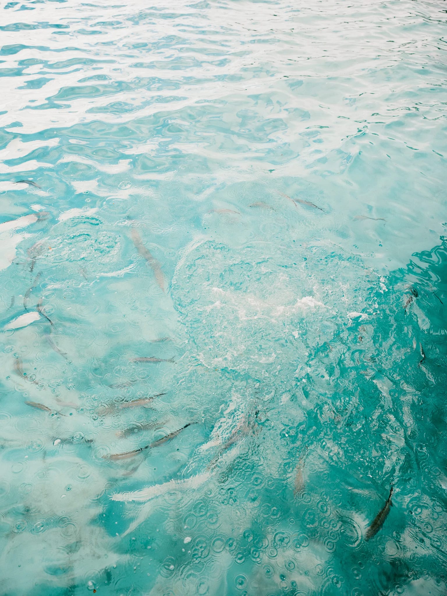 Ripples and sunlight over pale blue water.