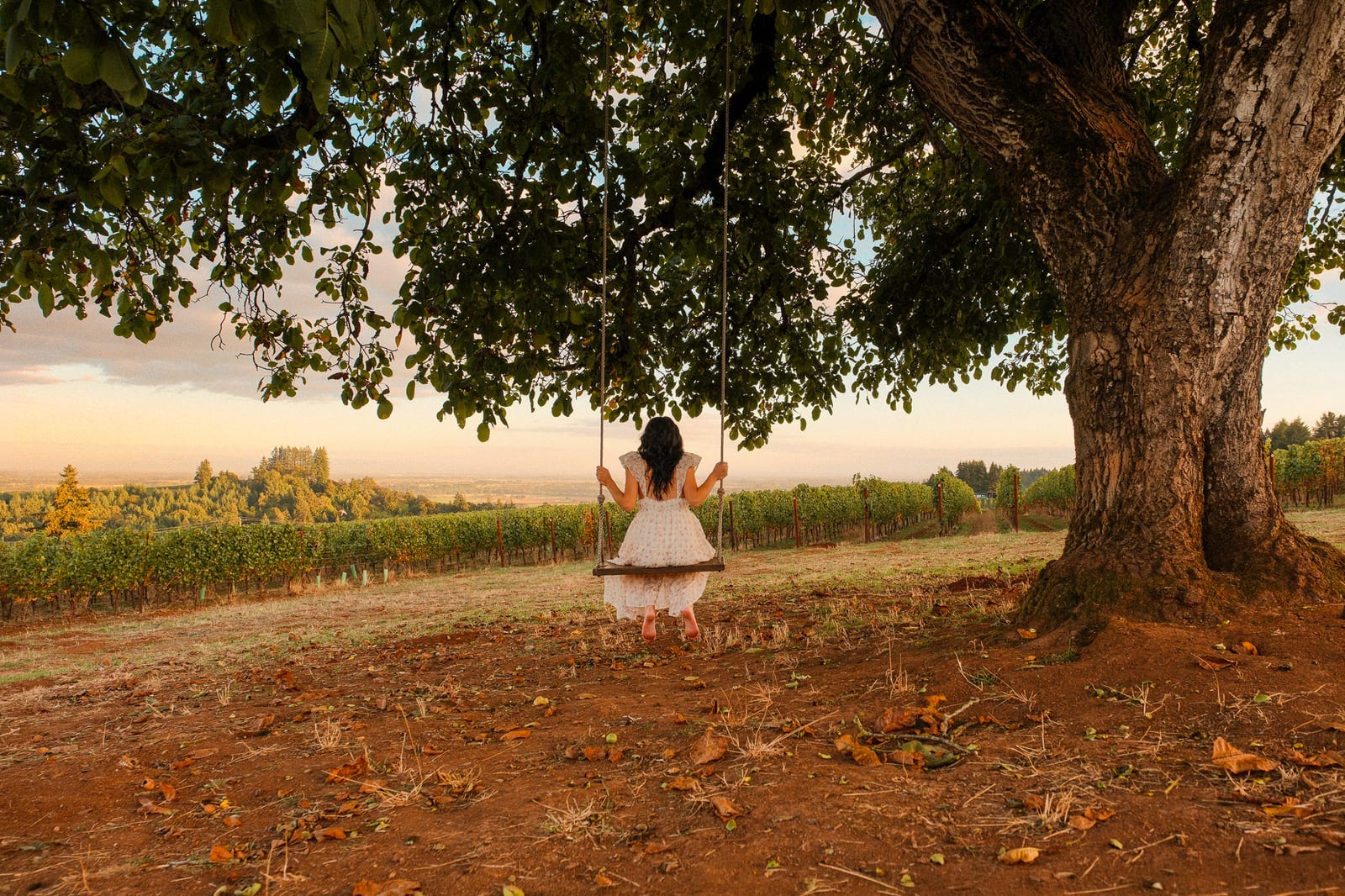 A guest sits on a swing beneath a broad oak at Black Walnut Inn.