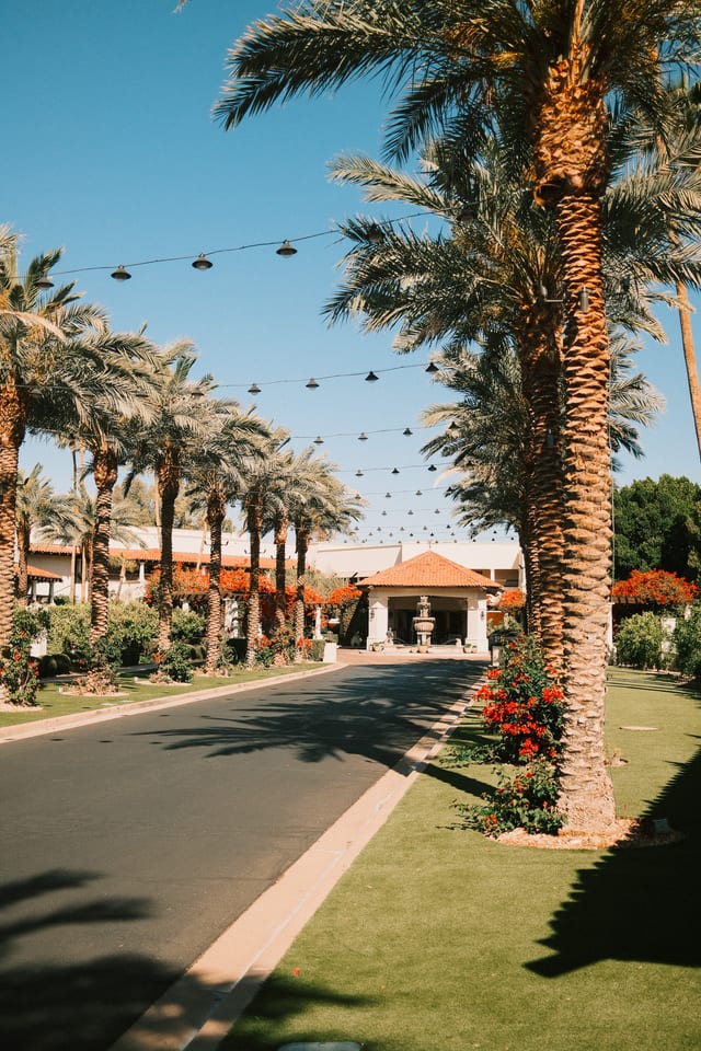 Palm-lined arrival road at Scottsdale Resort and Spa