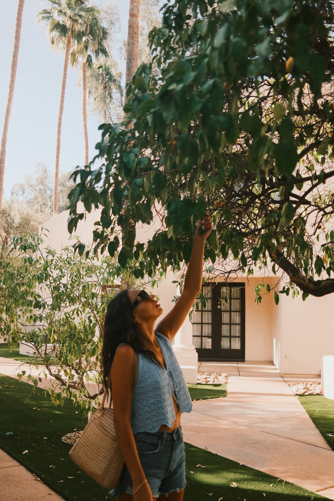 Guest beneath the trees at Scottsdale Resort and Spa