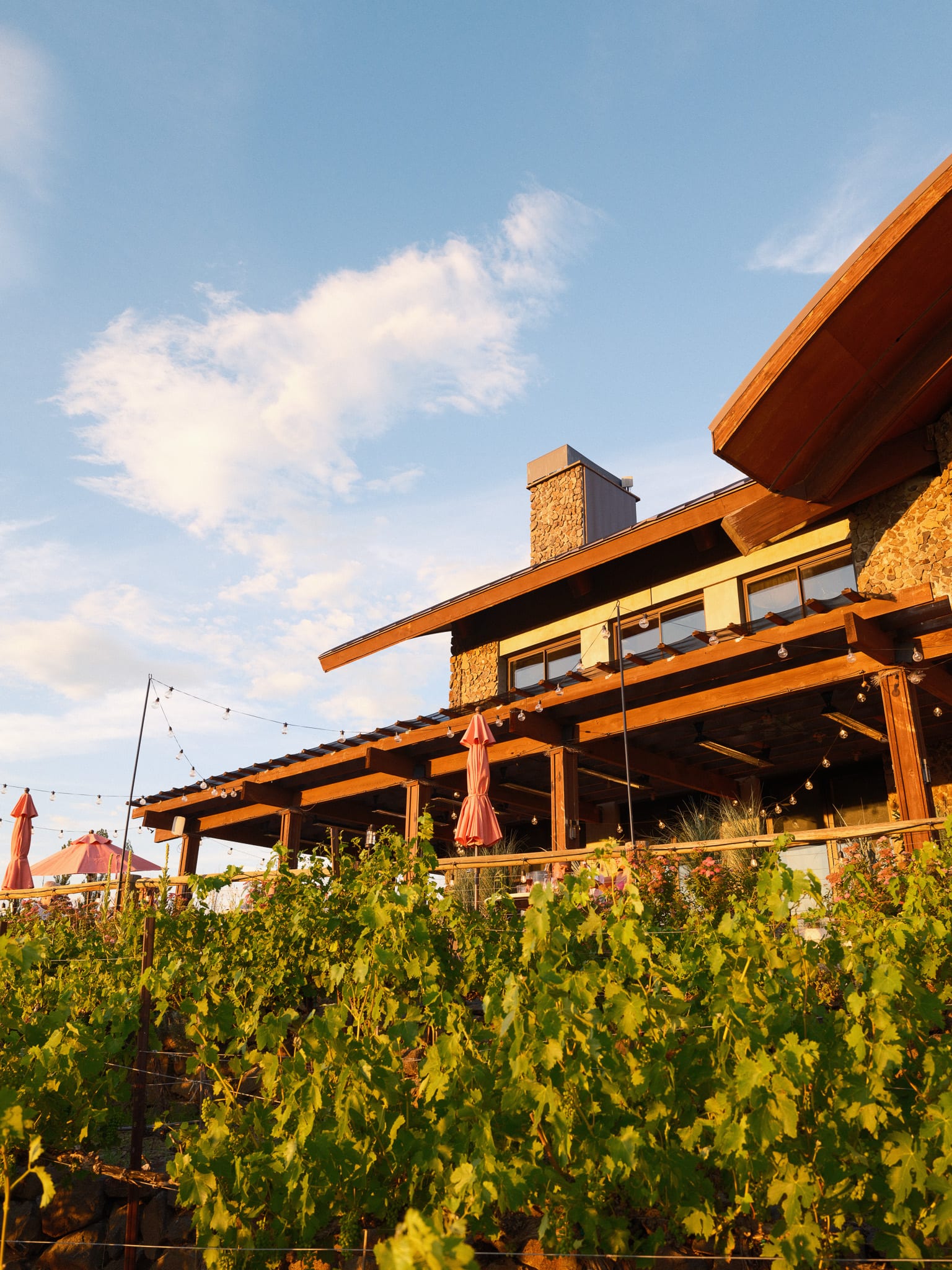 Sage Cliff Resort lodge viewed through the vineyard