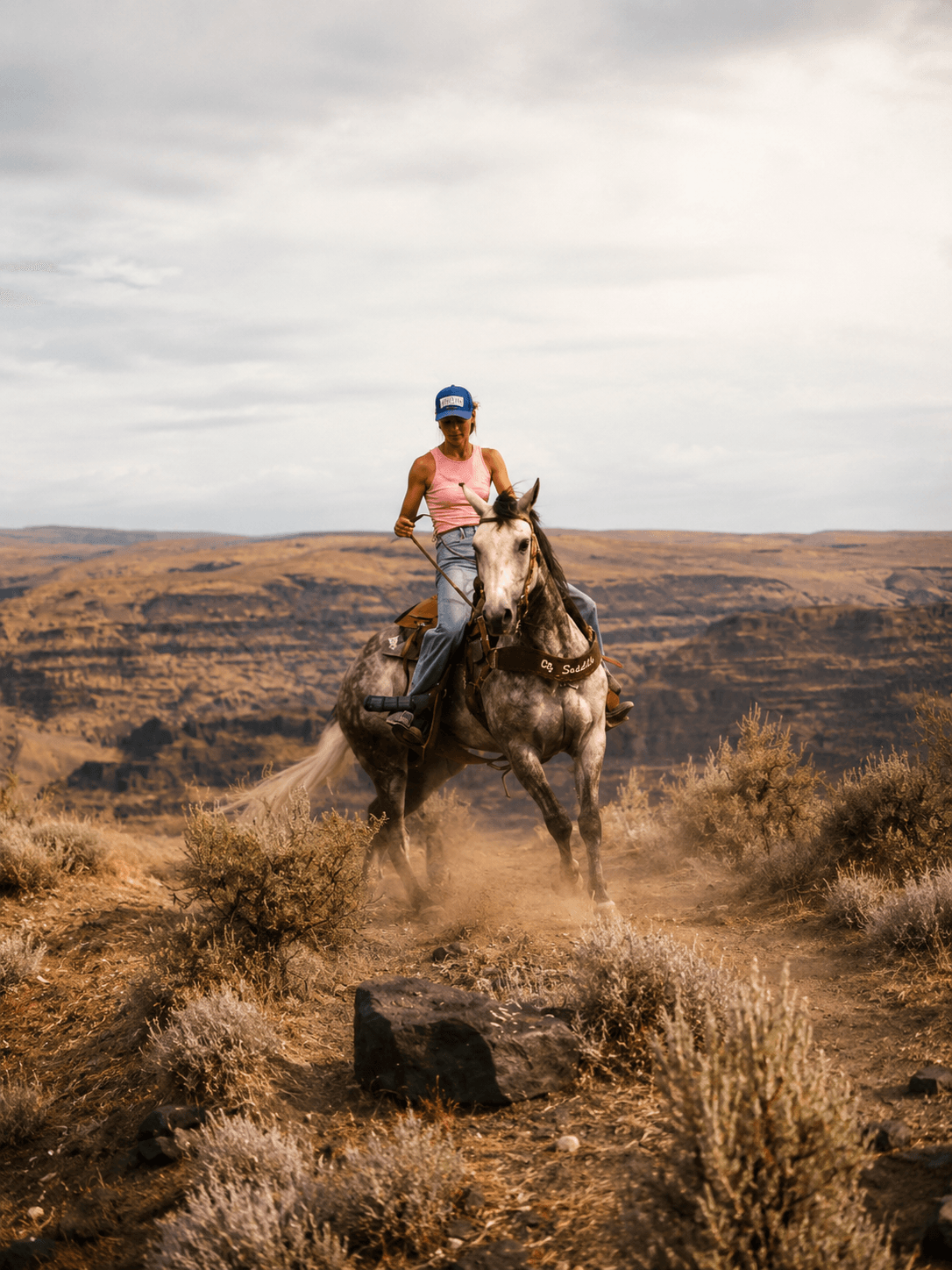 Horseback rider crossing a dusty trail near Sage Cliff Resort